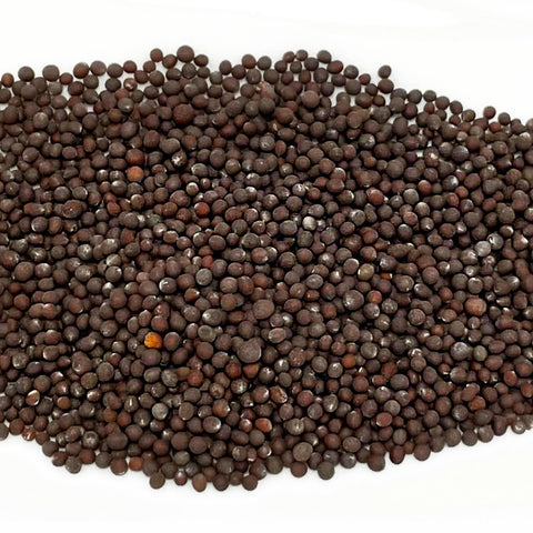 Mustard Seeds - Premium Quality